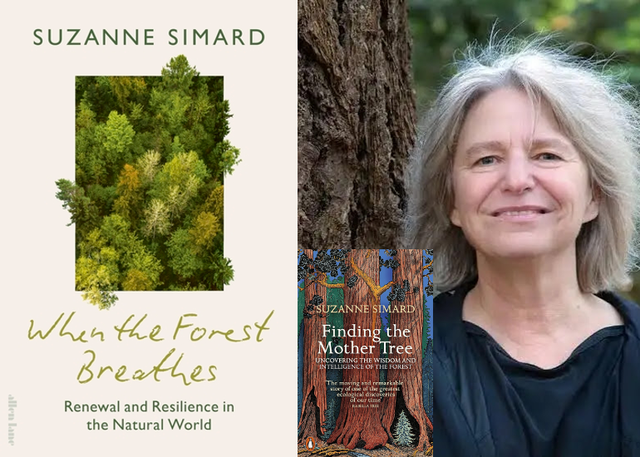 Suzanne Simard for When the Forest Breathes